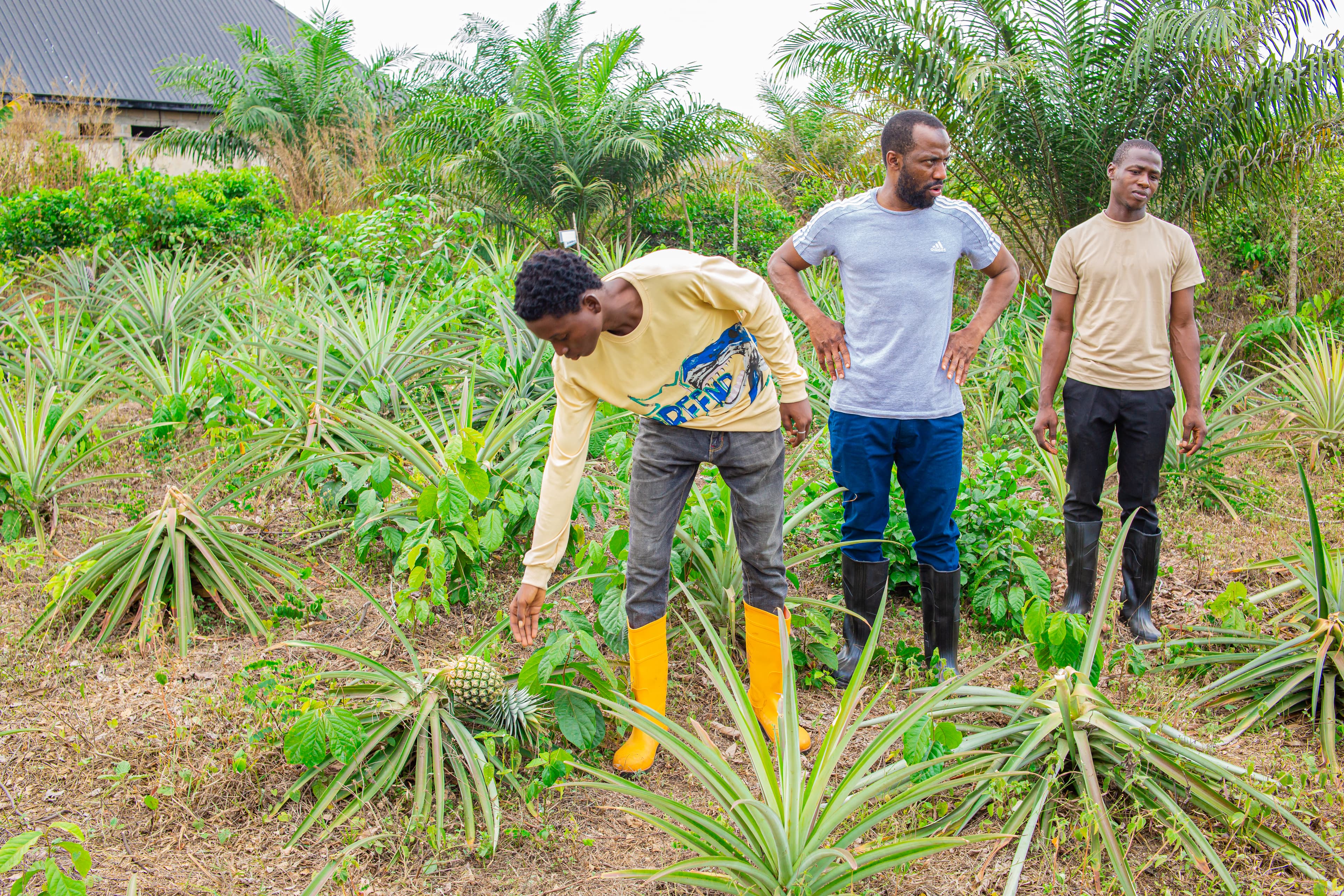 Farmers and HARVIST team members working together in the field.