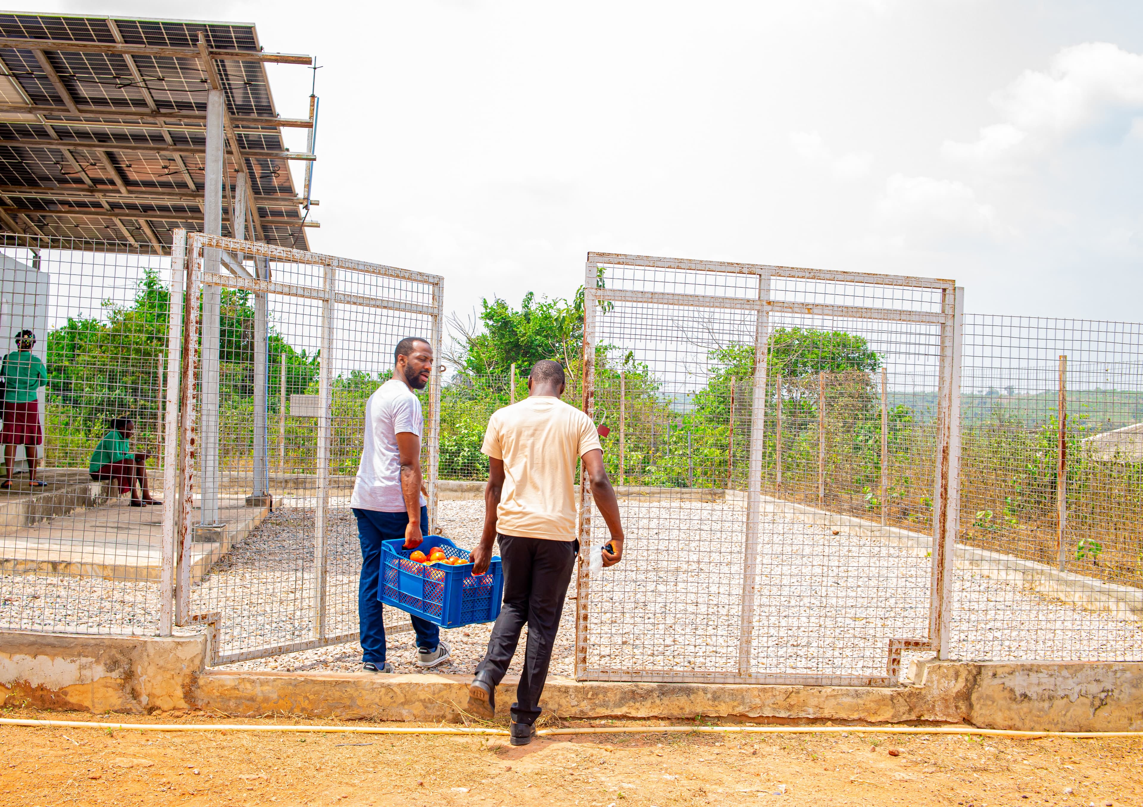 Produce being moved through a HARVIST cold-storage facility.